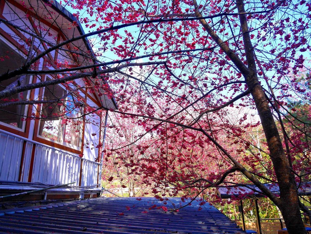森之秘湯 Mhuwe Hotspring Leilighet Renai Rom bilde